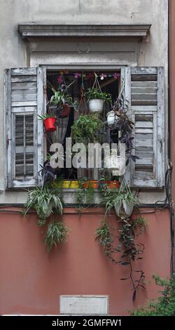 old window with flowers, Split, Croatia Stock Photo