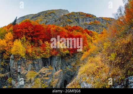 Autumnal trees with colorful leaves on rocky mountain Stock Photo