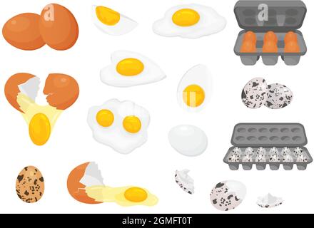 Cartoon farm fresh chicken and quail eggs in packages. Broken, raw, fried and hard boiled egg half with yolk. Eggs for breakfast vector set Stock Vector