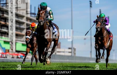 Etobicoke Toronton, ON, USA. 18th Sep, 2021. September 18, 2021: La Dragontea (GB) #3, ridden by jockey Joel Rosario wins the Grade 2 Canadian Stakes on the turf at Woodbine Racetrack in Toronto, Ontario Canada on September 18th, 2021. Scott Serio/Eclipse Sportswire/CSM/Alamy Live News Stock Photo