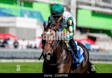 Etobicoke Toronton, ON, USA. 18th Sep, 2021. September 18, 2021: La Dragontea (GB) #3, ridden by jockey Joel Rosario wins the Grade 2 Canadian Stakes on the turf at Woodbine Racetrack in Toronto, Ontario Canada on September 18th, 2021. Scott Serio/Eclipse Sportswire/CSM/Alamy Live News Stock Photo