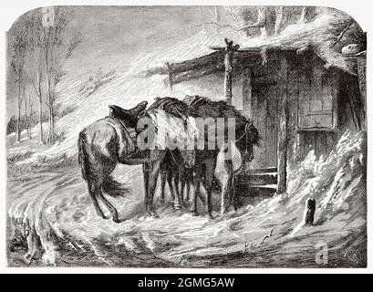 Cossack horses resting after a hard march through the snow, painting by Adolf Schreyer (1828-1899) was a 19th century German painter. Old 19th century engraved illustration from La Ilustración Artística 1882 Stock Photo