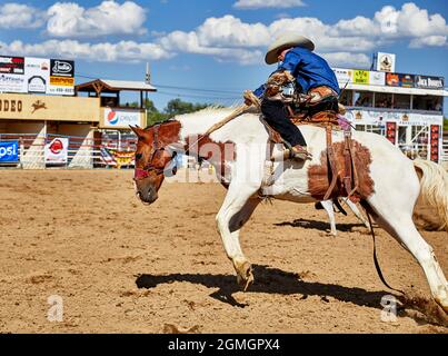 Prescott, Arizona, USA - September 12, 2021: Cowboy riding on a bucking horse at the rodeo competition held at the Prescott Rodeo Fair grounds during Stock Photo