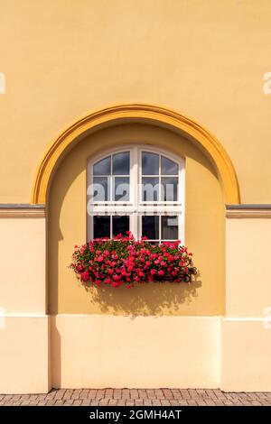 a white window placed in an arch-shaped recess against the background of a yellow wall. A flower pot with red geraniums on the window sill Stock Photo