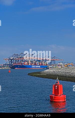 port of rotterdam (maasvlakte 2) / netherlands - 2021-09-02:  view from prinses arianehaven onto yangtzekanaal and euromax containerterminal  --  [cre Stock Photo