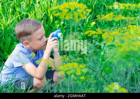 A cute preschool boy with a neat hairstyle in a blue shirt takes pictures of green plants on a hot summer day. Selective focus. Portrait Stock Photo