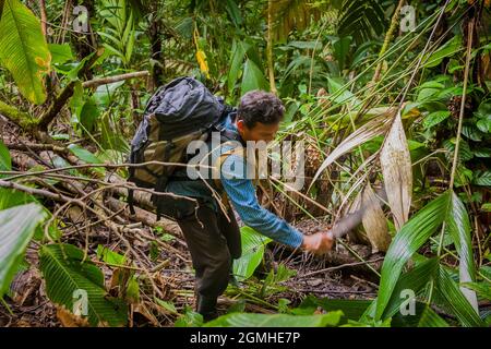 Embera indian man is cutting way through the dense rainforest, along the overgrown Camino Real trail , Portobelo national park, Republic of Panama. Stock Photo