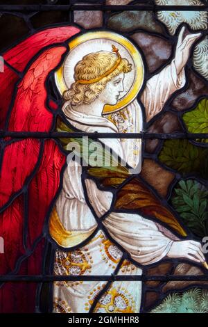 Stained Glass window,  St Peter's Church, Dunton, Norfolk Stock Photo