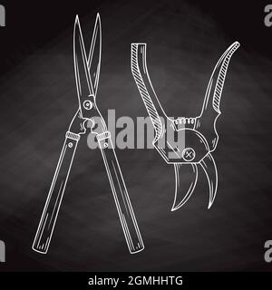 Garden secateurs isolated on the chalkboard. Vector illustration in sketch style. Stock Vector