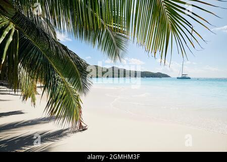 Palm leaves on beautiful white sand beach with turquoise sea. Anse Lazio in Seychelles. Stock Photo