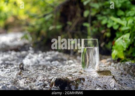 of clean transparent drinking water in a transparent glass on a stone in a green forest near a stream or mountain spring. Stock Photo