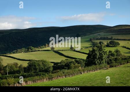 Lush farmland below Pant-y-llyn Hill, Epynt Mynd, near Builth Wells, Powys, Wales, UK Stock Photo