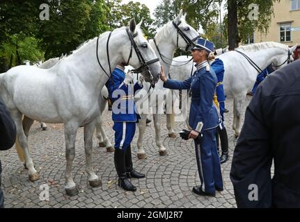 Linköping, Sweden. 19th, September, 2021. The Royal Swedish Cavalry Band with horses from the Association for the Mounted Guard conducts a riding parade through Linköping city on Sunday. The Royal Swedish Cavalry Band is one of three professional military bands in the Swedish Armed Forces. The band traces its ancestry back to the 1500s when King Gustav Vasa raised his first regiment of horse. Today the Royal Swedish Cavalry Band is one of few mounted bands in the world. Credit: Jeppe Gustafsson/Alamy Live News Stock Photo