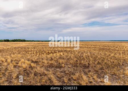 Lieberose, the largest desert in Germany, in the Spreewald near Cottbus in the state of Brandenburg Stock Photo