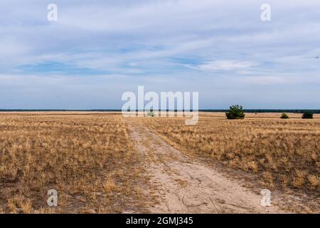 Lieberose, the largest desert in Germany, in the Spreewald near Cottbus in the state of Brandenburg Stock Photo