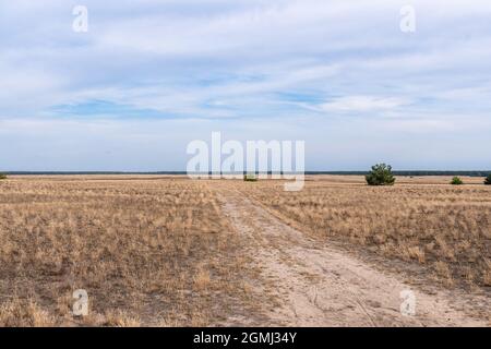 Lieberose, the largest desert in Germany, in the Spreewald near Cottbus in the state of Brandenburg Stock Photo