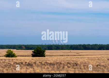 Lieberose, the largest desert in Germany, in the Spreewald near Cottbus in the state of Brandenburg Stock Photo