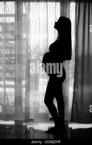 A grayscale vertical shot of a pregnant woman silhouette indoors Stock Photo