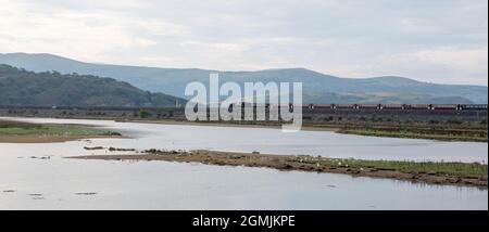 Traeth Glaslyn North Wales Wildlife Trust Nature Reserve with a Welsh Highland train on the Cob, Porthmadog Stock Photo