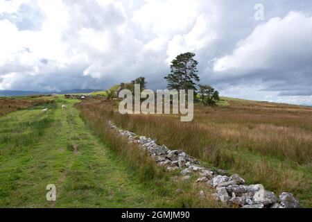 Tomen y Mur site of Roman fort in North Wales the Roman Road Stock Photo