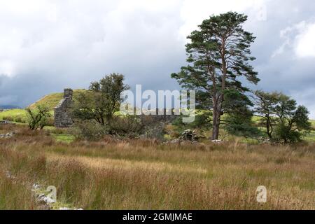 Tomen y Mur, Roman Fort site in North Wales Stock Photo