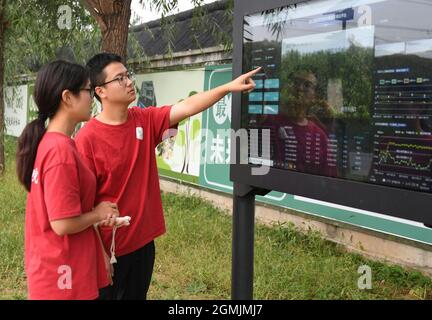 (210919) -- BEIJING, Sept. 19, 2021 (Xinhua) -- Bai Jie (L) and Shao Qi, college students from China Agricultural University, check data on a screen in Future Orchard in Xiying Village of Yukou Township in Pinggu District of Beijing, capital of China, Sept. 19, 2021. 'Future Orchard' is a high-tech orchard founded by local government with China Agricultural University and other enterprises. The orchard has a lab and four hectares of land with peach and kiwi trees. With the help of intelligent monitoring system for data analysis, accurate management and visual diagnosis on the environment of fr Stock Photo