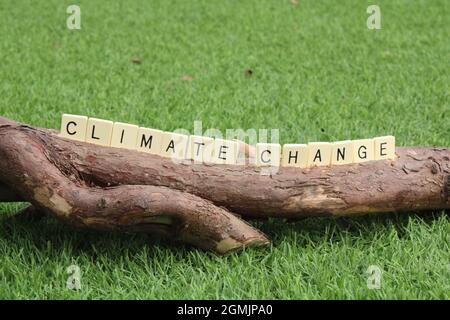 The words climate change on a tree branch in white for emphasis. Environmental and life concept close up with copy space Stock Photo
