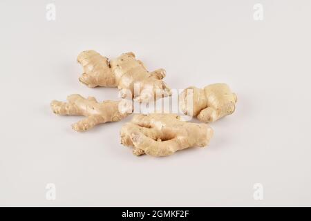 Ginger on White Background Stock Photo