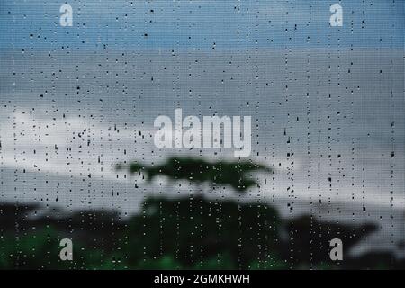 A closeup shot of raindrops on the window net surface Stock Photo