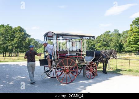 Horse carriage rides at 19th century Muckross House, The National Park, Killarney (Cill Airne), County Kerry, Republic of Ireland Stock Photo
