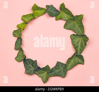 Green leaves circle on pink pastel background Stock Photo