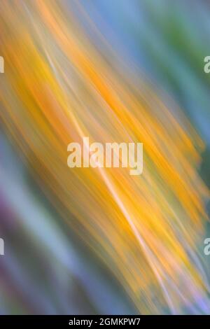 Abstract, altered reality photographic artwork. Stock Photo