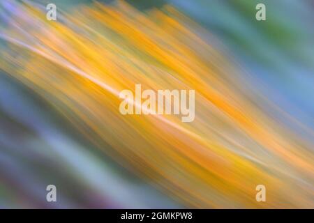 Abstract, altered reality photographic artwork. Stock Photo