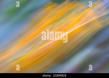 Abstract, altered reality photographic artwork. Stock Photo