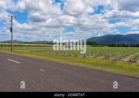 A small shed covering an irrigation pump in a sugar cane paddock Stock Photo