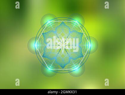 Seed of life symbol Sacred Geometry. Logo icon Geometric mystic mandala of alchemy esoteric Flower of Life. Vector purple lines, Yantra, chakra lotus Stock Vector