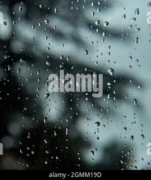closeup view of raindrops for overlaying on window. Dripping condensation. vertical. Blurred background. texture Stock Photo