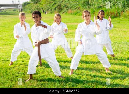 Tweenagers of different nationalities learning karate moves on green lawn Stock Photo