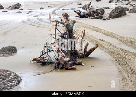 Dead tree branch on a brown sandy sea beach with scattered stones Stock Photo