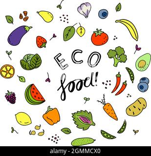 Set of different kinds of vegetables, greens and fruits. Various doodles, simple hand drawn sketches with Eco food text. Vector freehand illustration Stock Vector