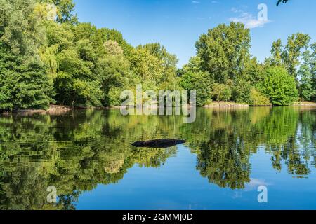 View over the pond of the park in Sterkrade, Oberhausen, North Rhine-Westfalia, Germany Stock Photo