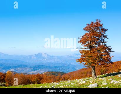 Sunny day in autumn mountains. View from Serra Di Crispo, Pollino National Park, southern Apennine Mountains,  Italy. Stock Photo