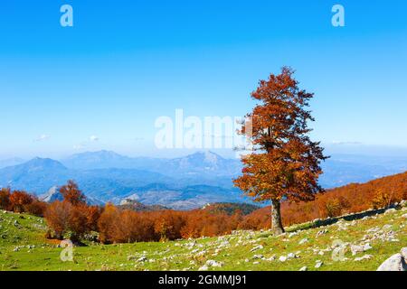 Colorful mountain landscape in sunny autumn day.  View from Serra Di Crispo, Pollino National Park, southern Apennine Mountains,  Italy. Stock Photo