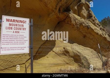 Mountain Lion warning sign at the black star canyon  trailhead in Orange County California USA Stock Photo