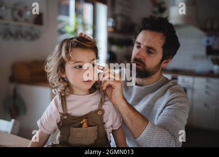 Mature father with small daugther resting indoors at home and combing hair. Stock Photo