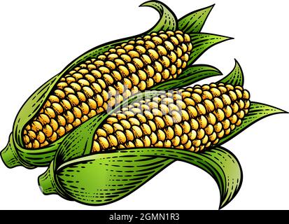 Corn Vegetable Vintage Woodcut Illustration Stock Vector