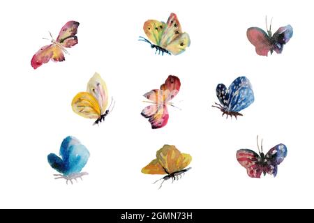 Beautiful watercolor butterflys flying, insect painted on white background. Artistic vector illustration set. Grunge simple botanical texture. Pink, y Stock Vector
