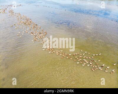 Daily life in Binh Dinh province central Vietnam Stock Photo