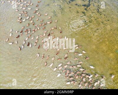 Daily life in Binh Dinh province central Vietnam Stock Photo