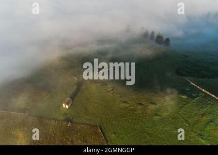 Mountain landscape with morning fog, at the forest edge, in the Romanian village Stock Photo